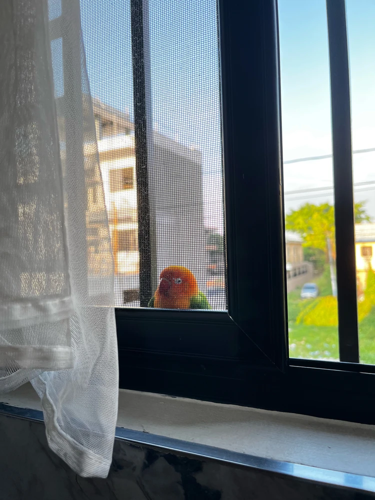 Image uploaded by Aey
