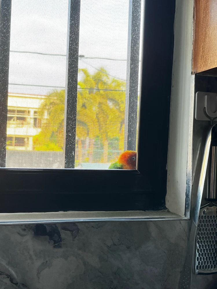 Image uploaded by Aey