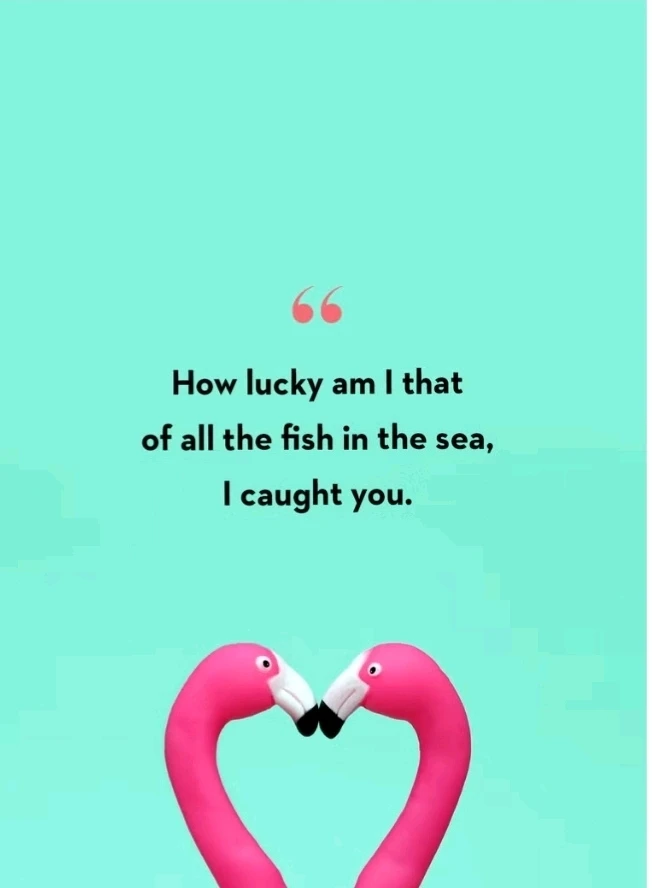 GIF uploaded by Asim