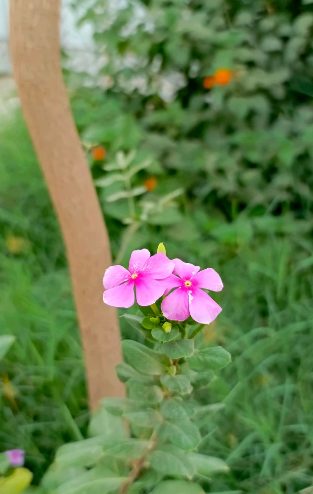 GIF uploaded by 𝑨𝒏𝒆𝒆𝒍..