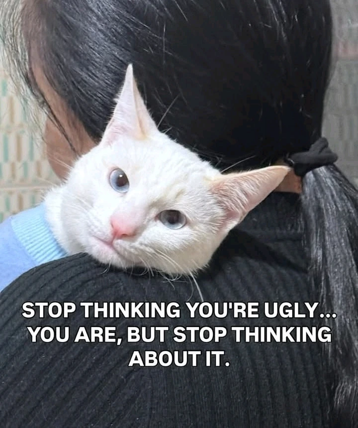 GIF رفعها CheeKy ORyZa