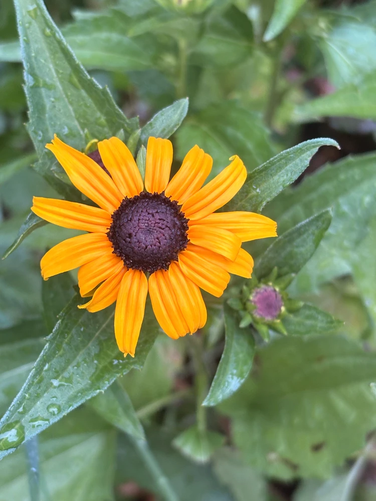 GIF uploaded by β³β΄πππΎπβπππΆπ