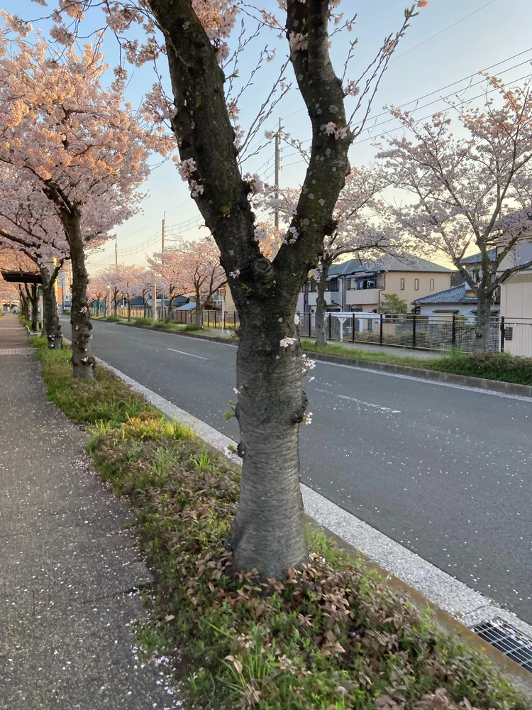 GIF uploaded by らせん