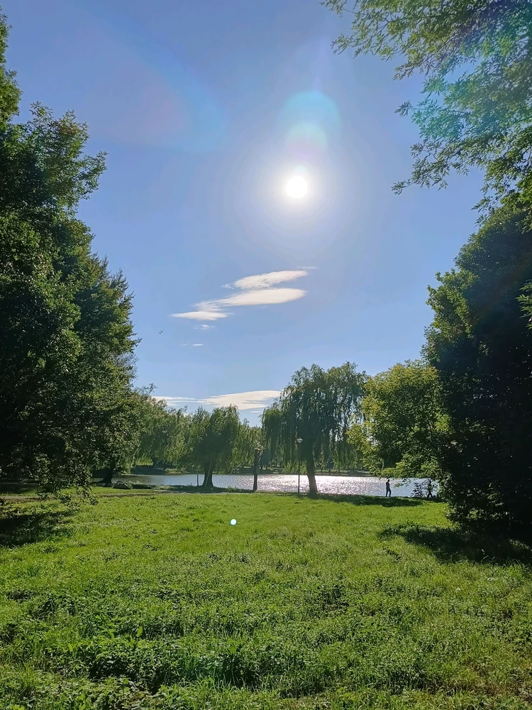 GIF eropgeluede vum Anastasia