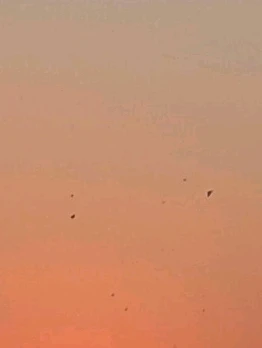 GIF nahrál C