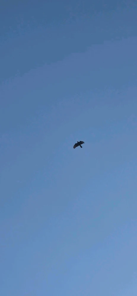 GIF subido por Teresa