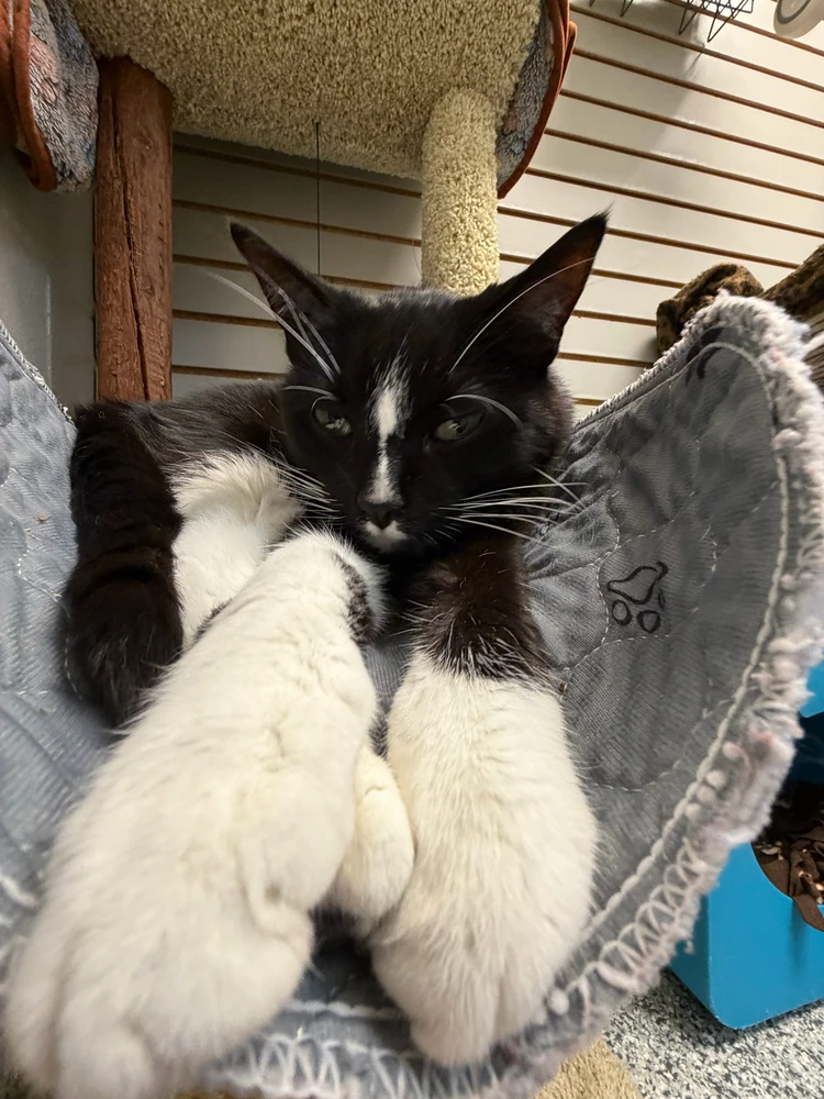 Image uploaded by Robbie