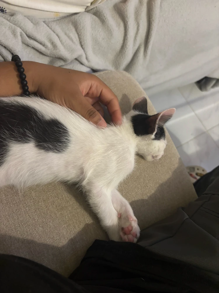 GIF uploaded by Ada