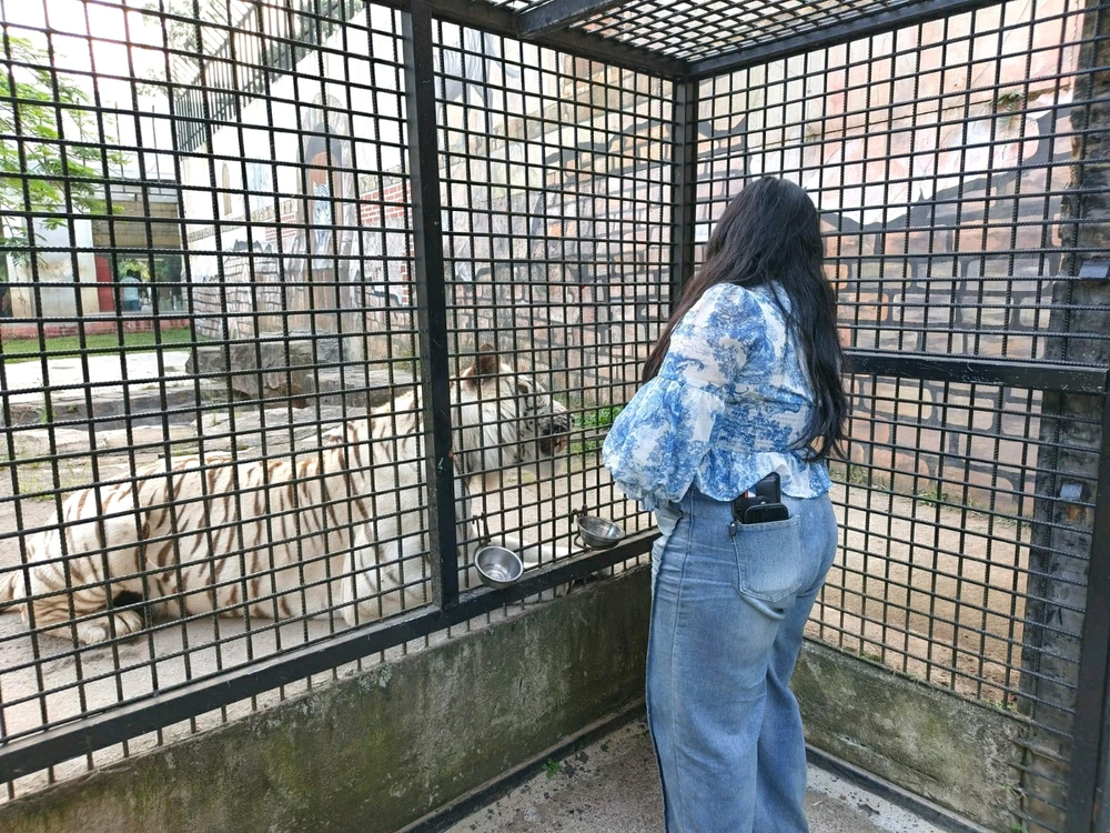 Image uploaded by Sophia Azzahra