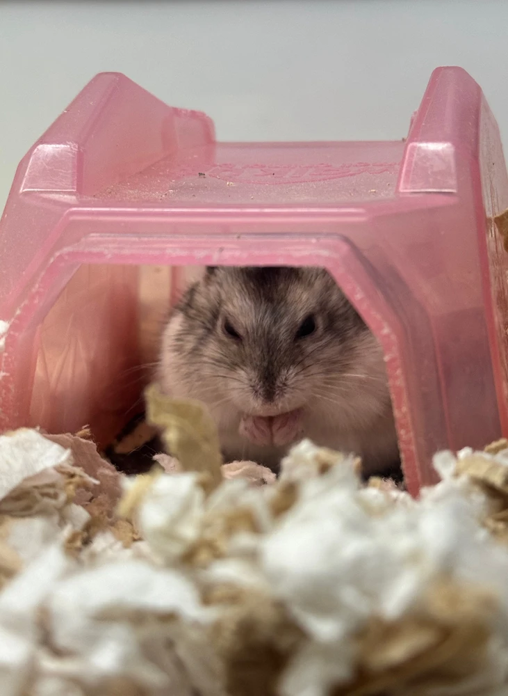 GIF postavljen od ㅇㅅㅇ