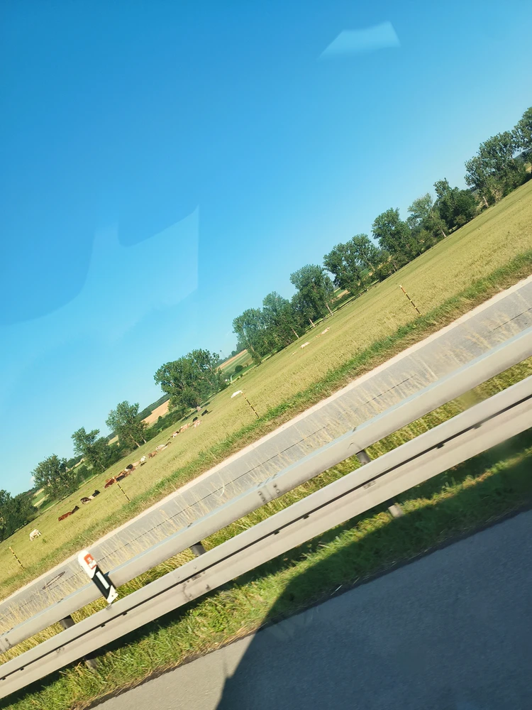 GIF uploaded by Teo