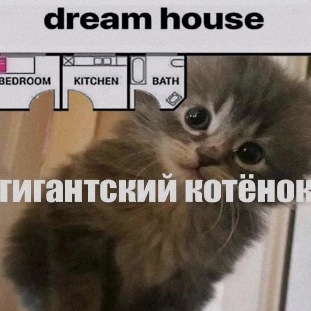GIF رفعها Кирилл