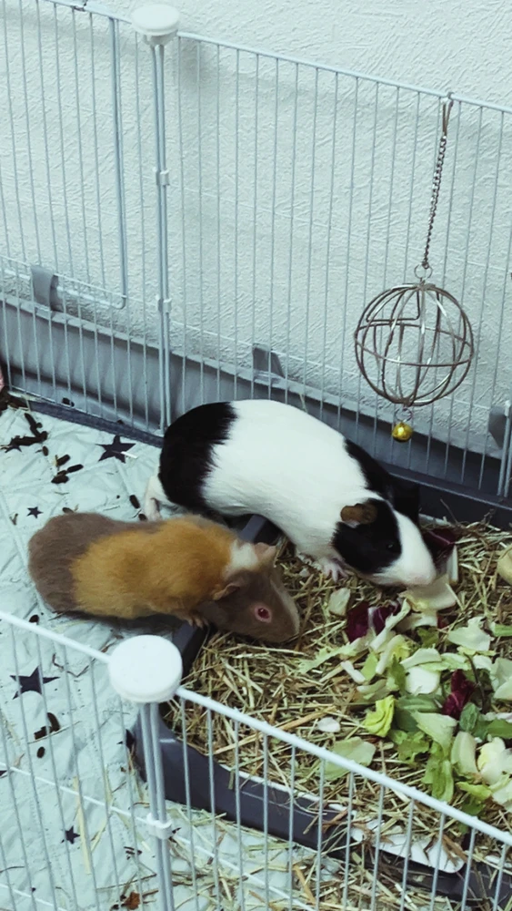 GIF uploaded by E
