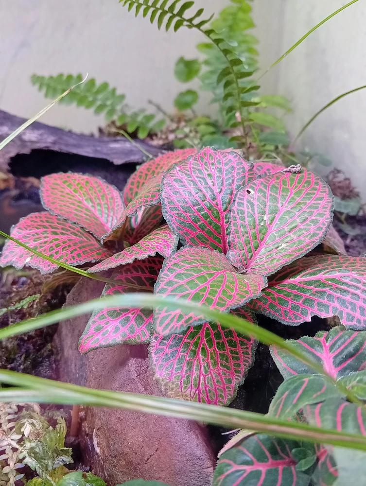 GIF uploaded by ric