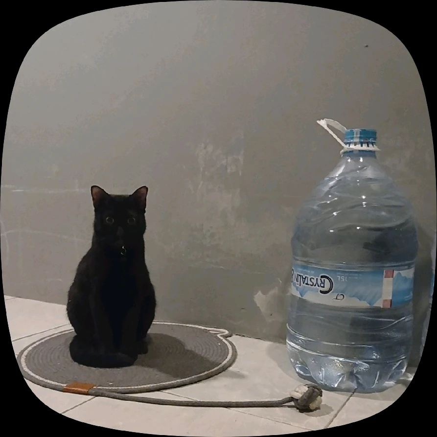 GIF uploaded by Yolanda