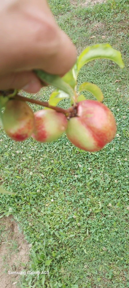 GIF uploaded by Kas