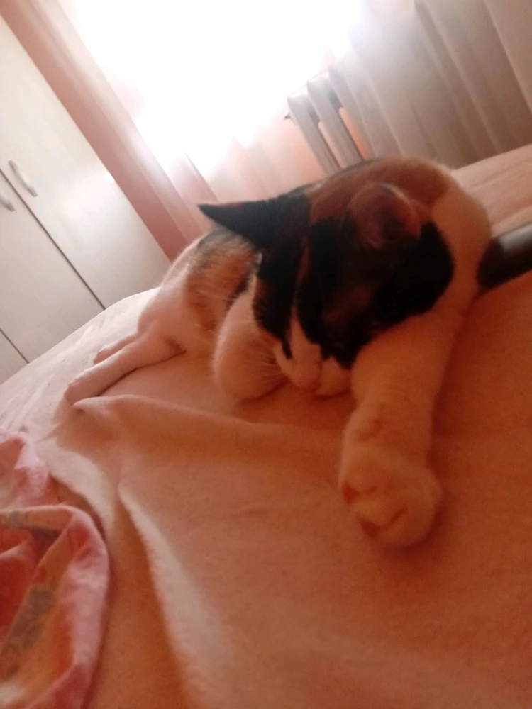 GIF uploaded by Korin