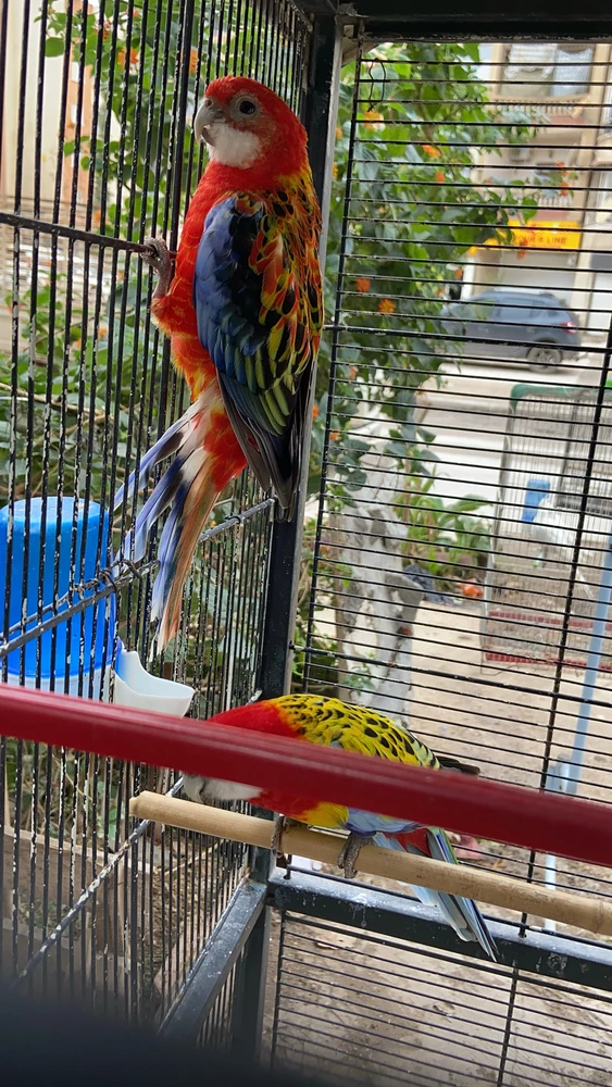 GIF subido por Rémy