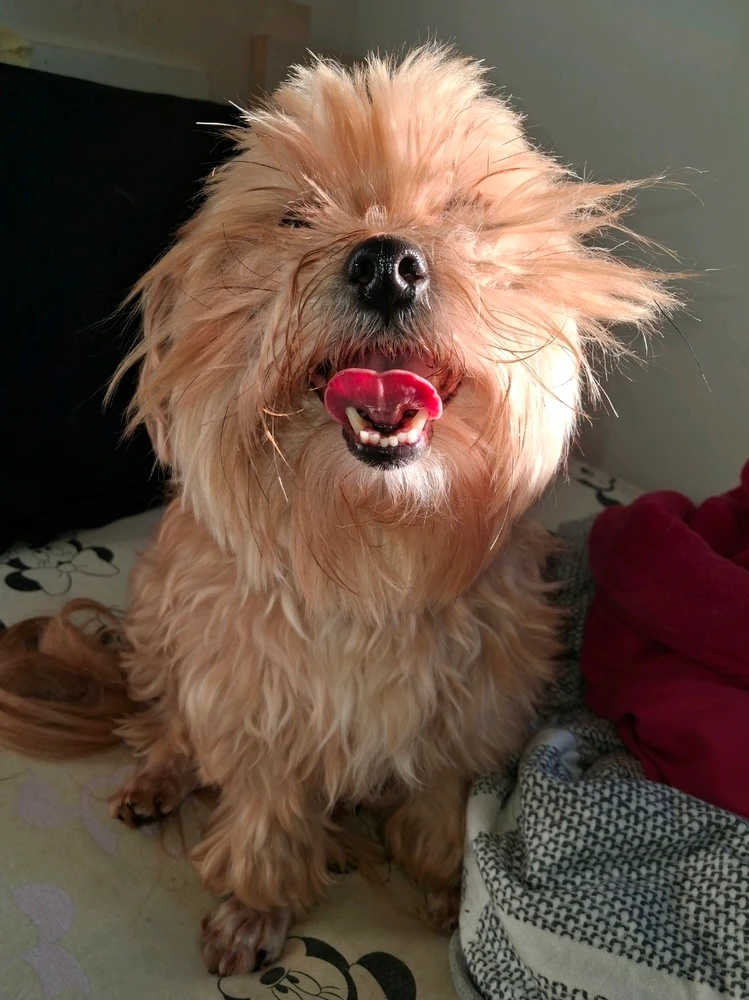 GIF uploaded by Sissa