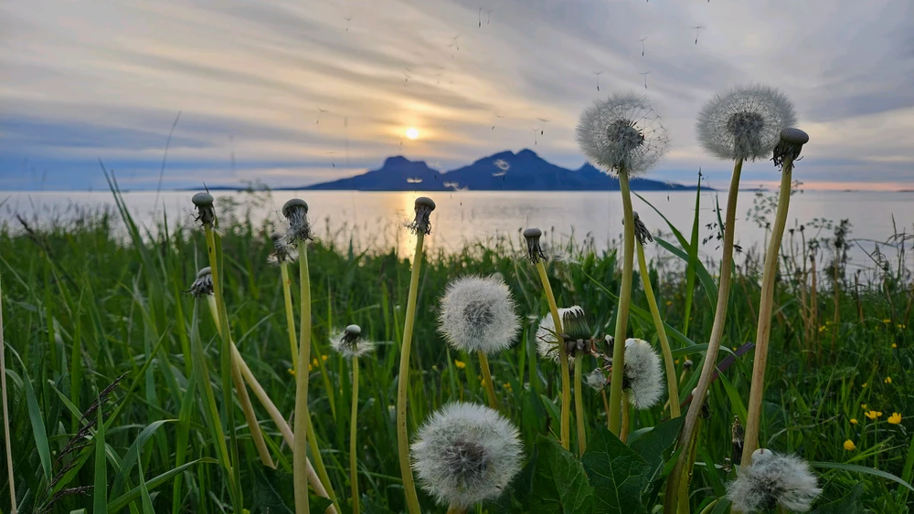 GIF uploaded by Irina