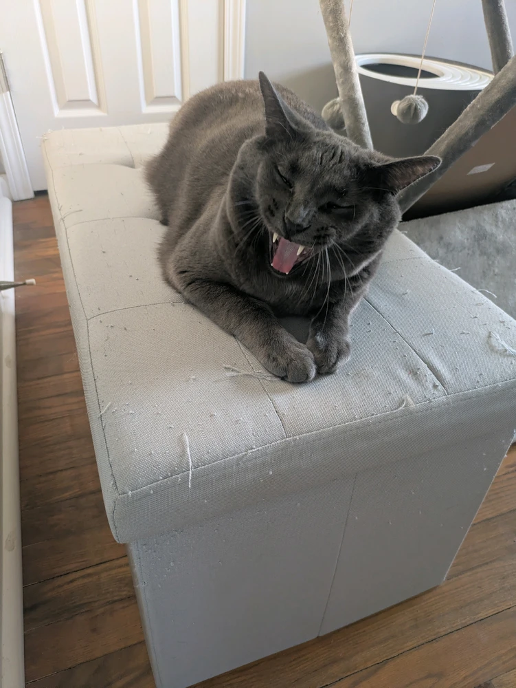 GIF uploaded by Nina