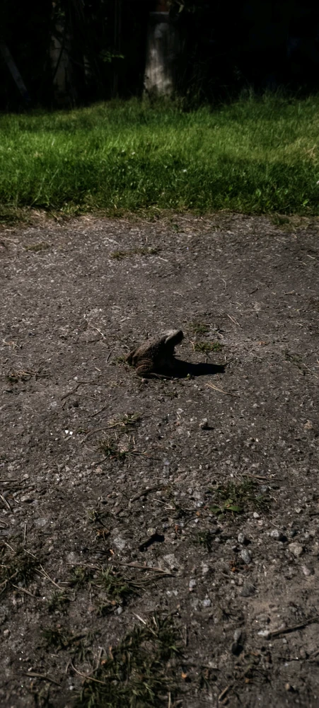 GIF uploaded by Otto