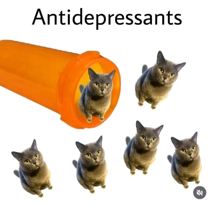 GIF eropgeluede vum Allen