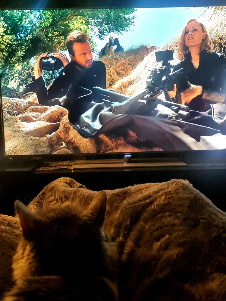 GIF subido por LeeLoo