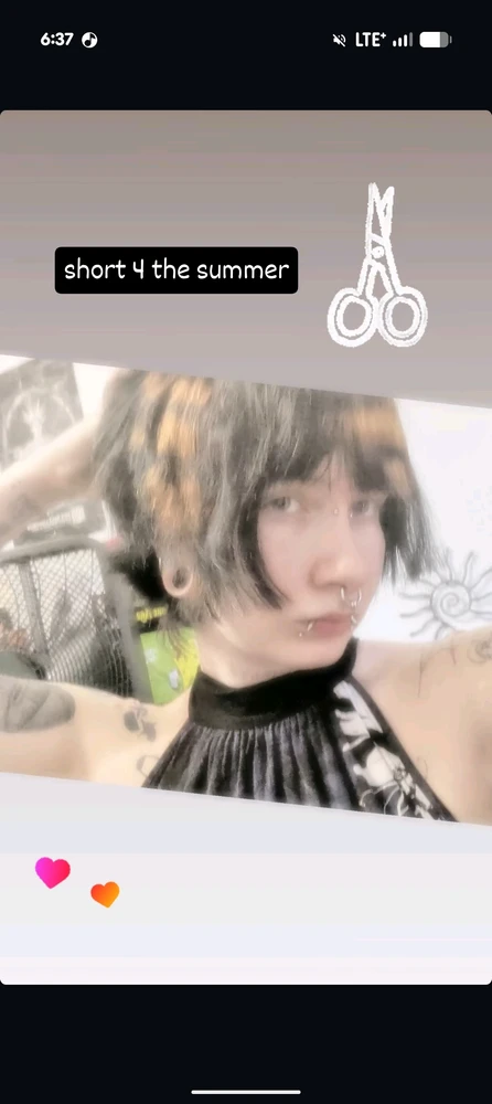 GIF tso los ntawm lee