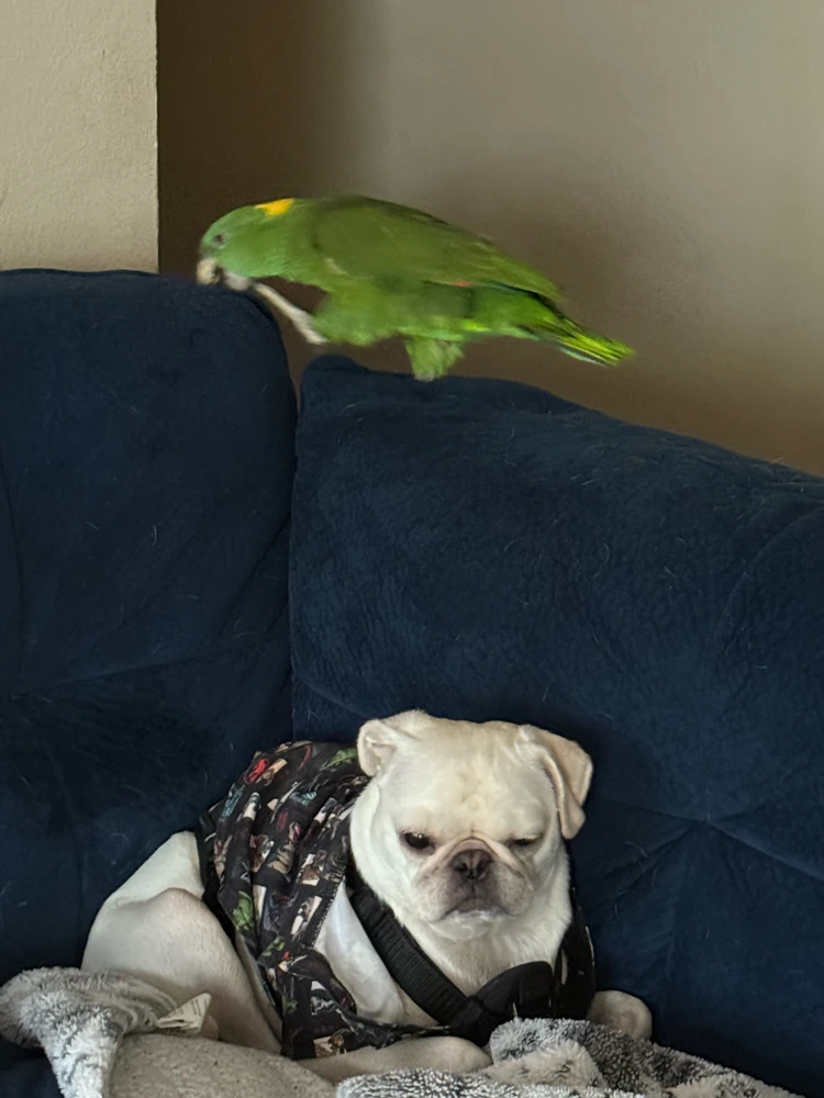 GIF uploaded by Nicholas