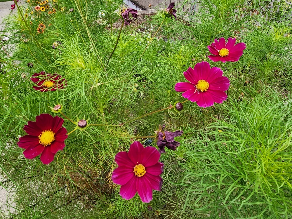 GIF uploaded by Elle