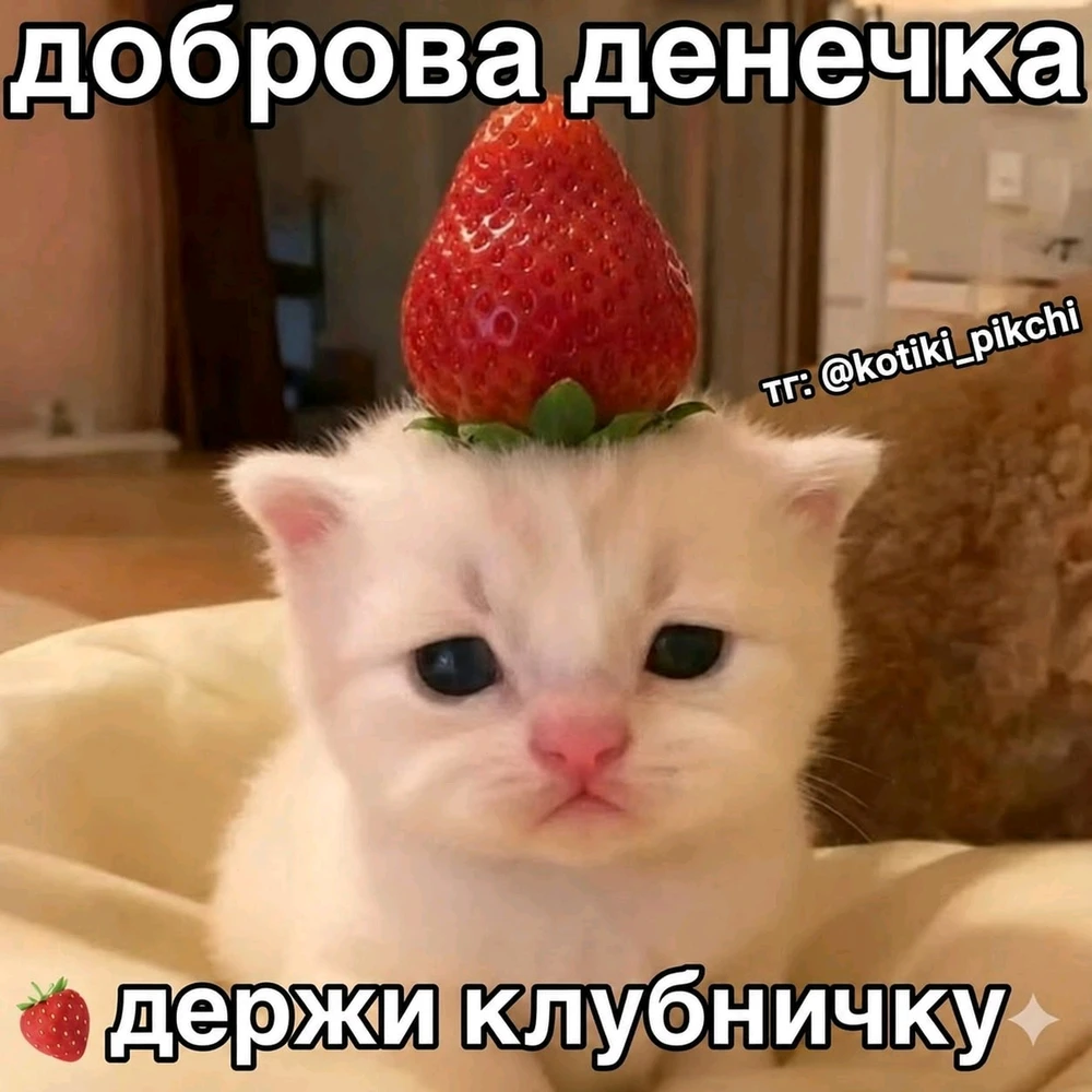 GIF uploaded by Кирилл