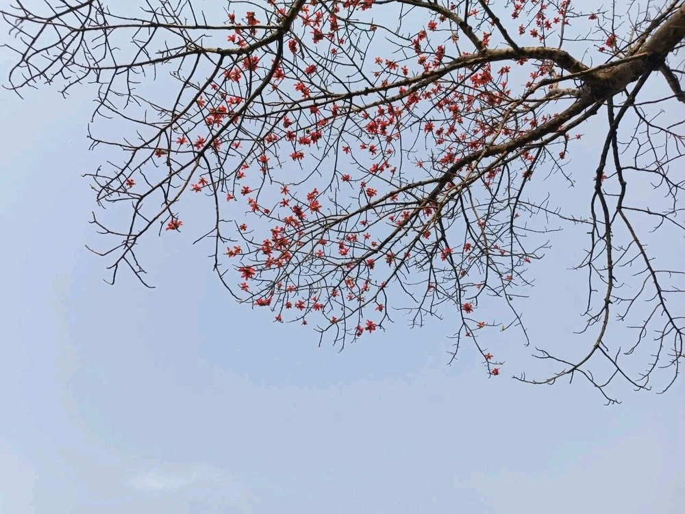 GIF uploaded by Subh