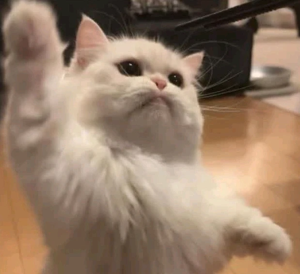 GIF uploaded by Fatima
