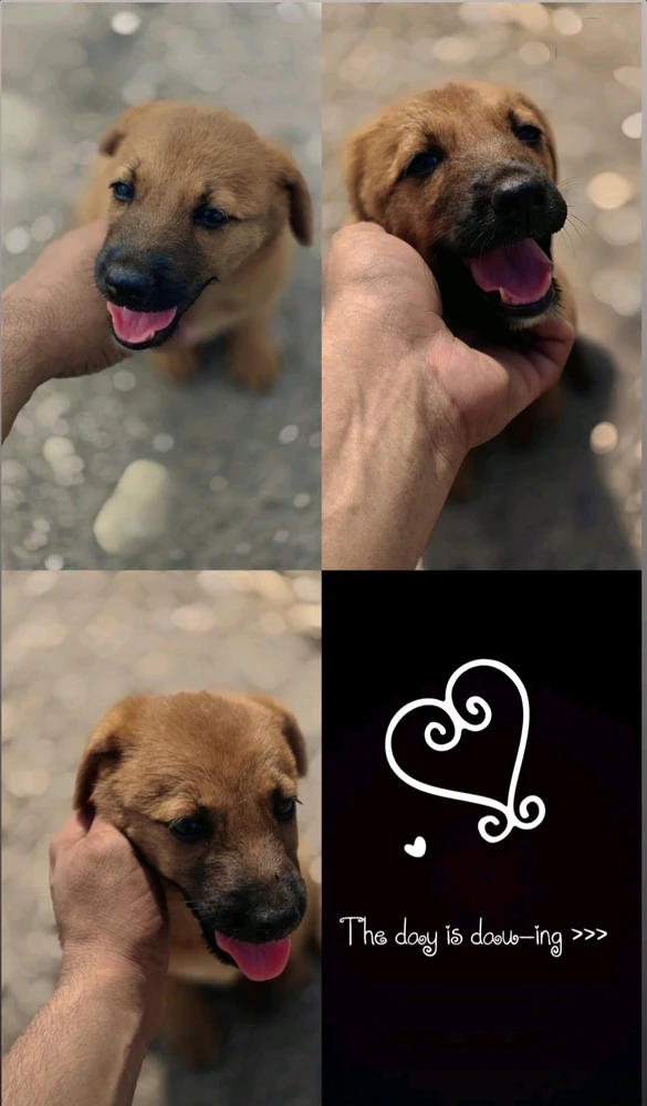 GIF dodany przez Prafful