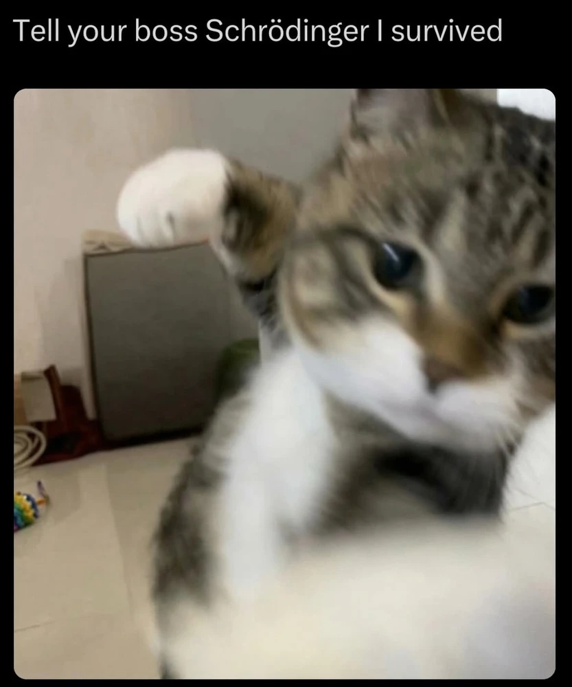 GIF eropgeluede vum Nick