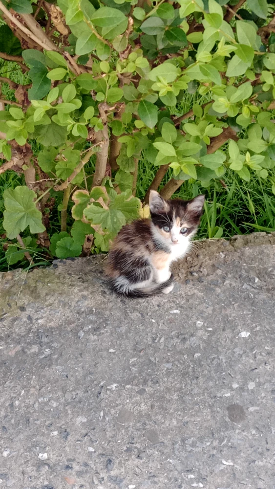 GIF uploaded by Dania
