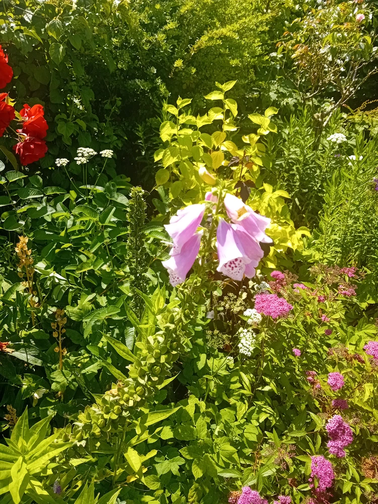 GIF uploaded by Saff