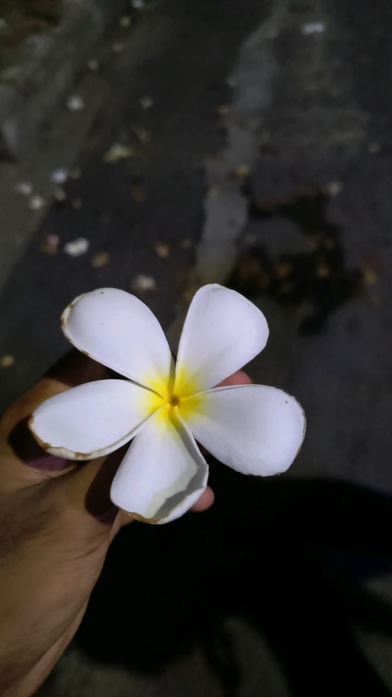 Sourav上传的GIF