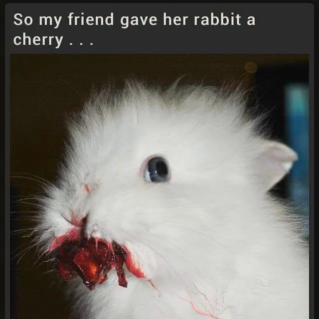 ℳℴ𝓇𝓃𝒾𝓃ℊ𝓈𝓉𝒶𝓇 ले अपलोड गरेको GIF