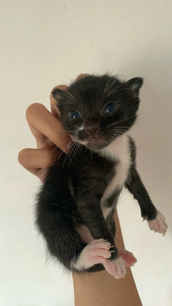 GIF uploaded by Anisa