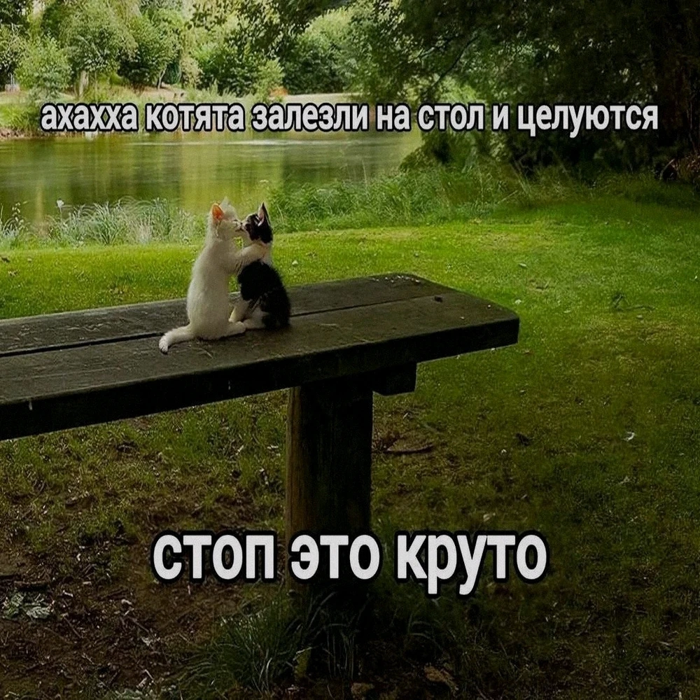 GIF uploaded by Кирилл