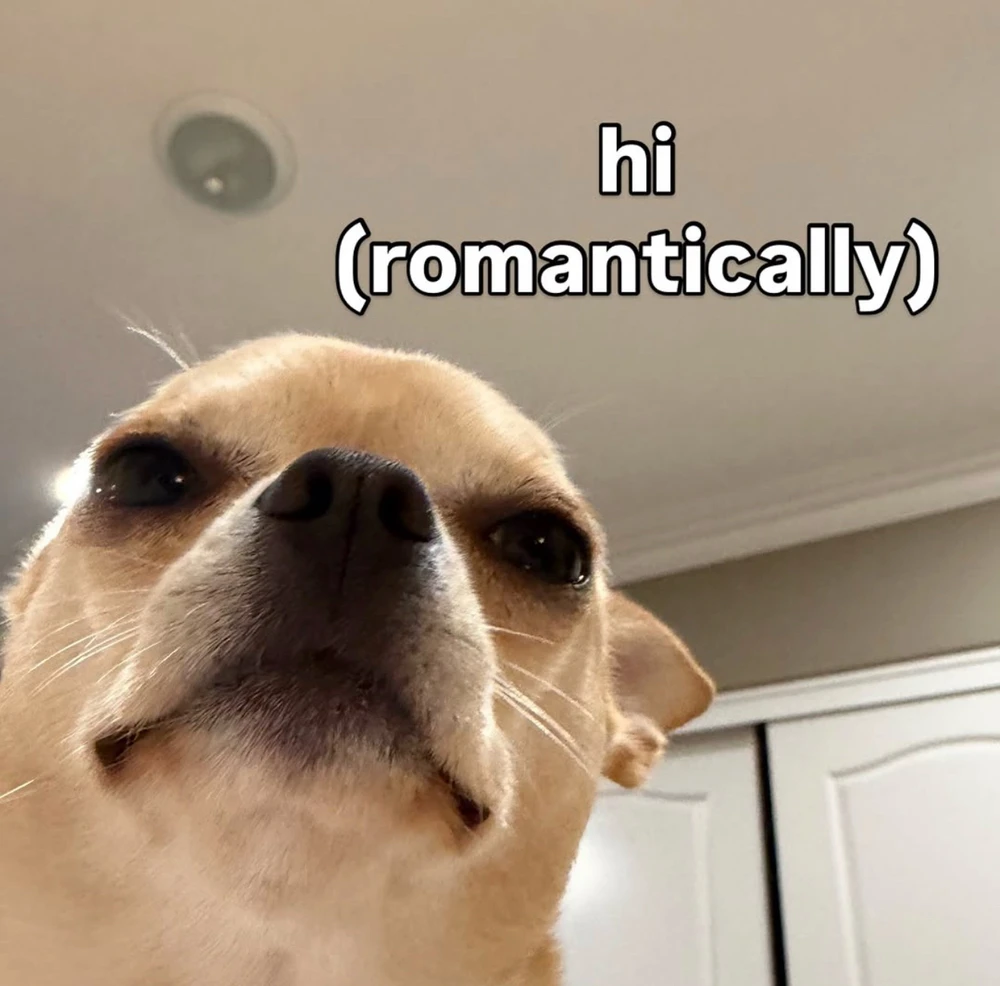 GIF uploaded by Jesse