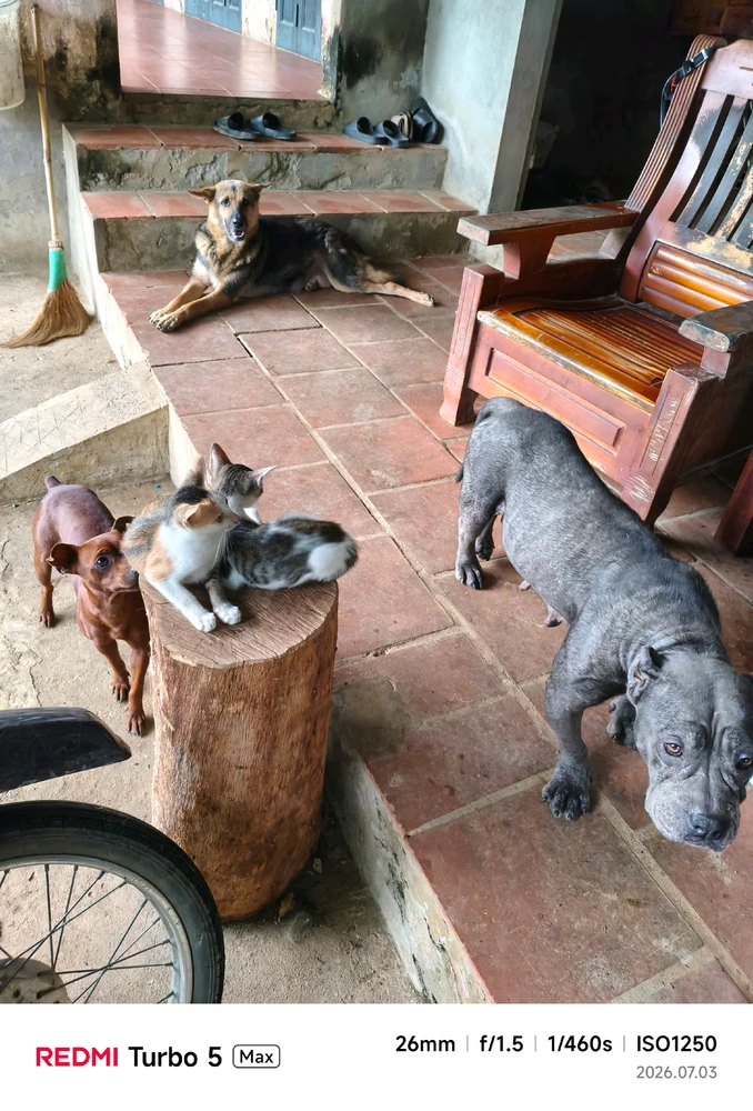 GIF uploaded by Luatledao
