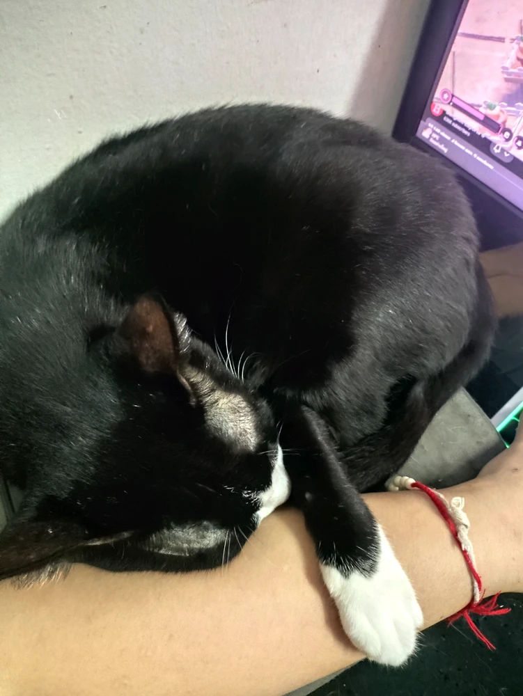GIF uploaded by Mink