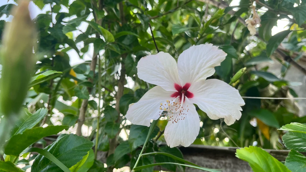Gambar diunggah ku Tica