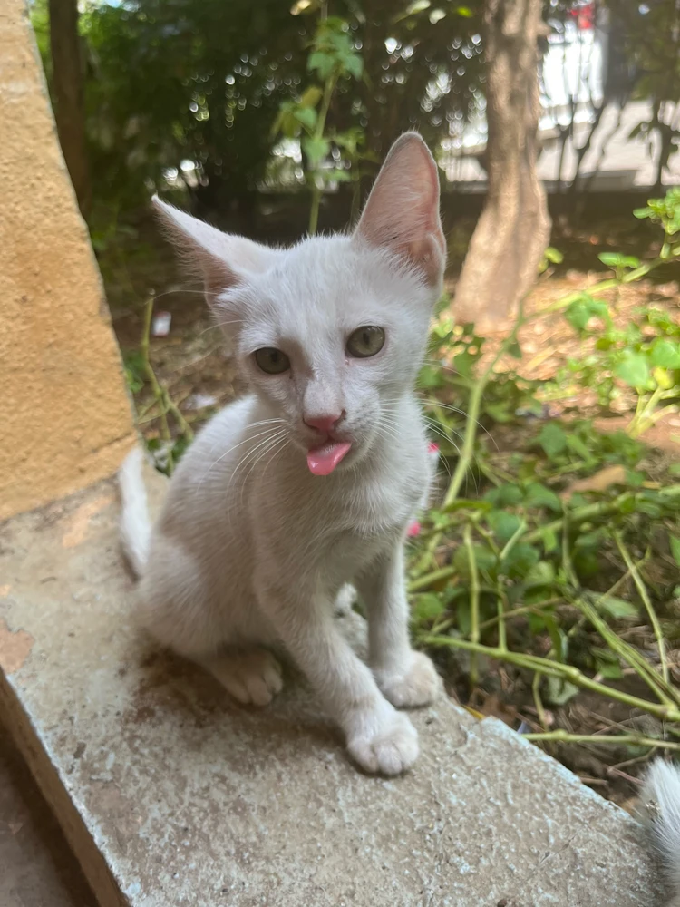 GIF uploaded by Naved