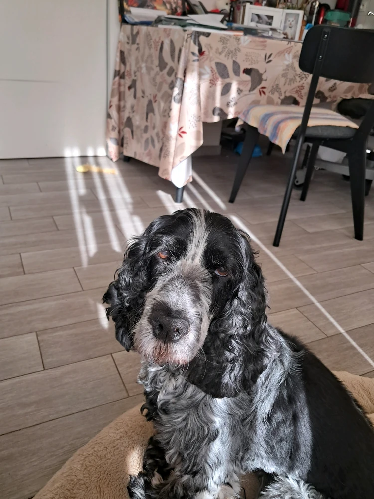 Image uploaded by Mieke