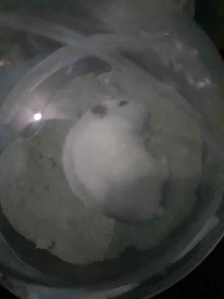 GIF được Lunara tải lên