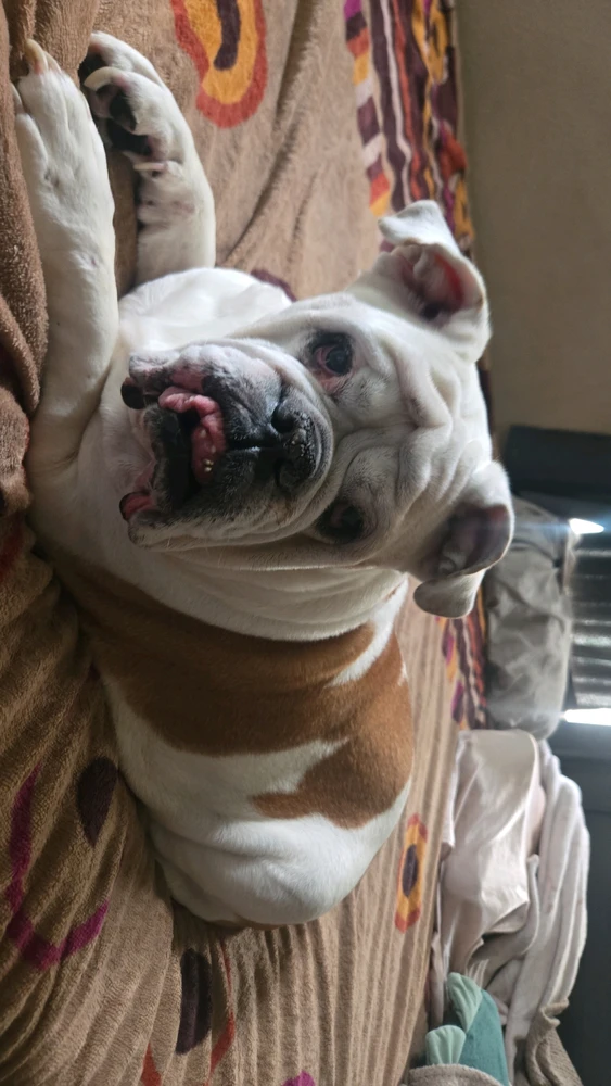 GIF uploaded by Fredy